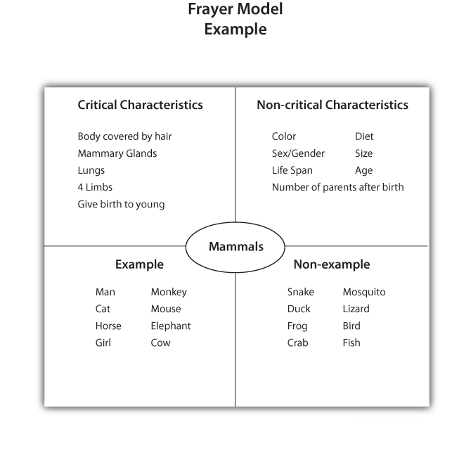 Frayer Model Example